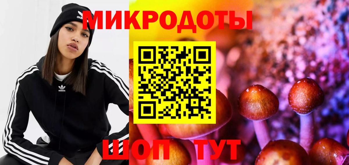 Псилоцибиновые грибы Magic Shrooms Конаково