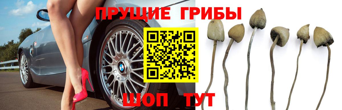 Галлюциногенные грибы Magic Shrooms  Вход с VPN  Конаково 